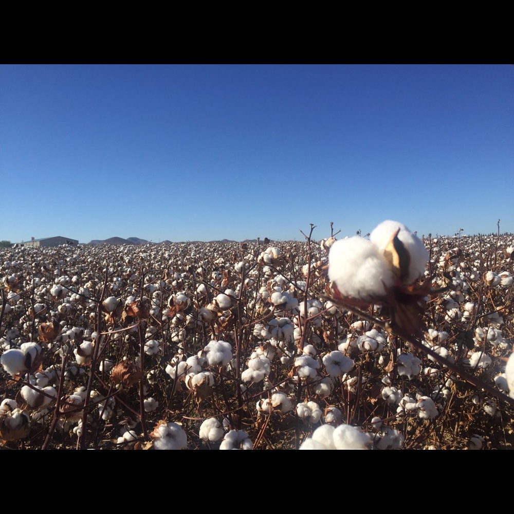 Meet your Posher, Lorena